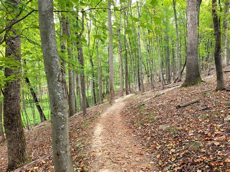 Pilot Mountain Hiking Trails: Everything You Need to Know » Trying to Unwind