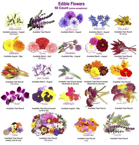 edible flowers dubai - Google Search | Edible flowers, Edible flowers recipes, Eatable flowers