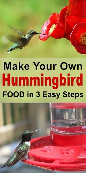 Make homemade hummingbird nectar - fasies