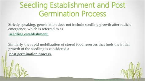 SEED GERMINATION | PPT