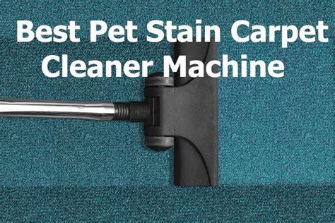 The 10 Best Selection of Pet Stain Carpet Cleaner Machine in 2023 [Home Use] – Pick The Vacuum