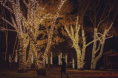 Magical Winter Light Festival At Ontario Place Returns in February