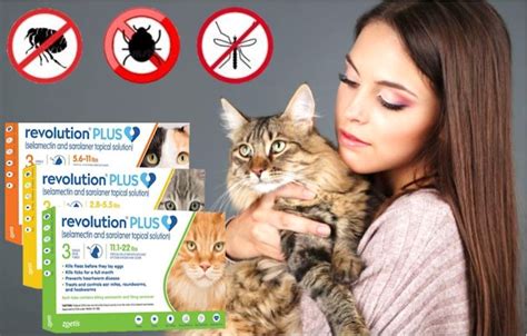 Cat Revolution Plus Anti Tick Flea Preventive Treatment Ear Mites ...