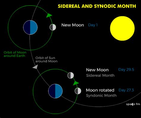 Rotation and Orbit | Moon | Space FM