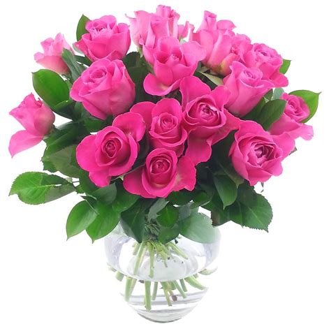 20 Pink Roses Bouquet Fresh Flower Bouquet | Pink Rose Flowers Hand Tied for Next Day Delivery