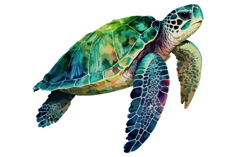 Watercolor Sea Turtle Vector Illustration par BreakingDots · Creative Fabrica