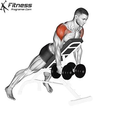 How To Do Dumbbell Reverse Fly - Benefits, Muscles Worked