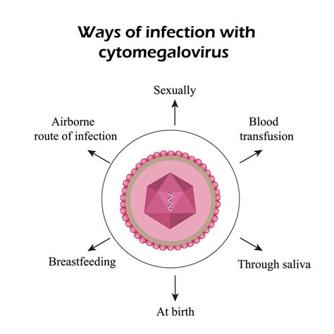 Cytomegalovirus (CMV) Infection | STD.GOV Blog