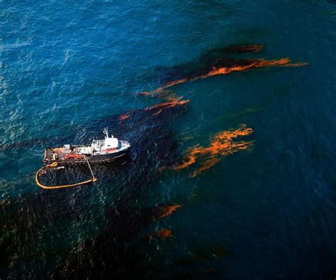 Ogni anno navi e industrie danneggiano il delicato ecosistema delle ...