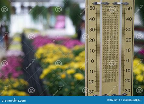 Temperature and Humidity in Greenhouses Stock Photo - Image of ...