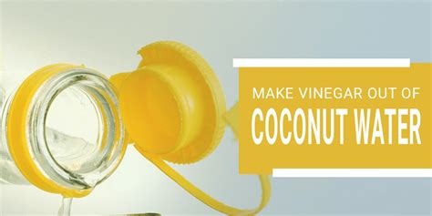 Make Vinegar Out of Coconut Water - Greenville Agro