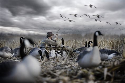 Duck Hunting Wallpaper By Gabriella Young 2018 | Hunting wallpaper, Duck hunting, Duck hunting gear