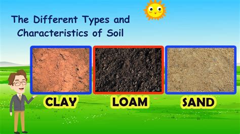 Lesson Plan In Science 4 Types Of Soil | Images and Photos finder