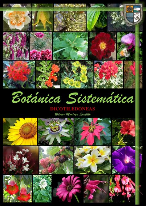 Botánica sistematica ~ Botánica