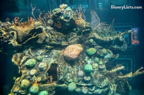 8 Facts and Secrets about The Seas with Nemo and Friends – DisneyLists.com