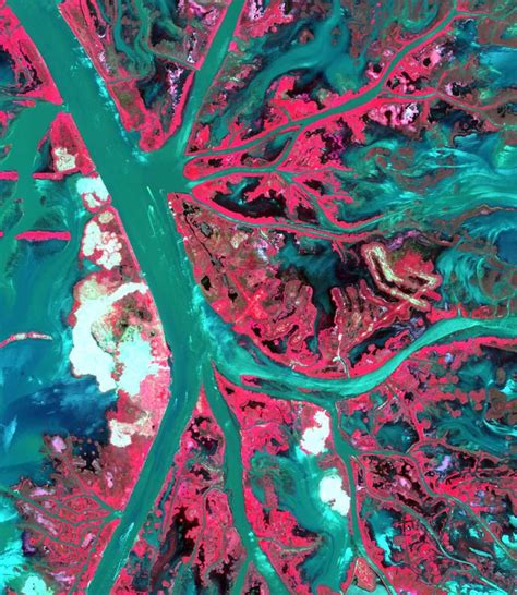 Mississippi River Delta, Satellite Image, Map, Earth, Art Print, Print ...