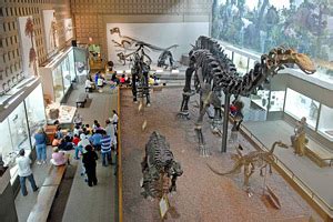 Peabody Museum of Natural History | Yale West Campus