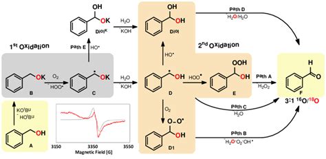 Scheme 3. Simplified reaction mechanism for the formation of... | Download Scientific Diagram