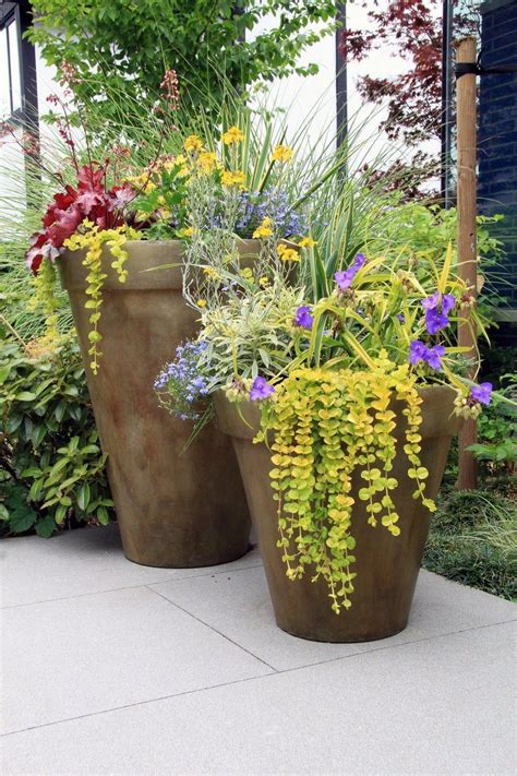 40 Best Ornamental Grasses For Containers (2) | Ornamental grasses ...