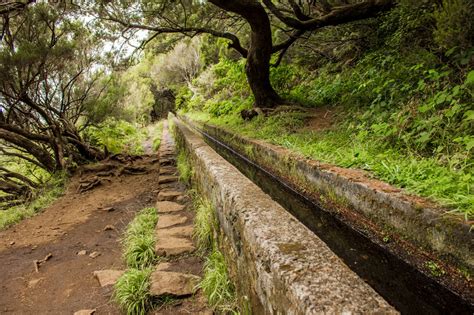 600 Years of Madeira: Levadas