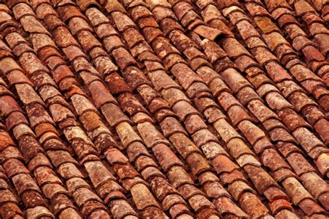 Terracotta Roof Tiles Free Stock Photo - Public Domain Pictures