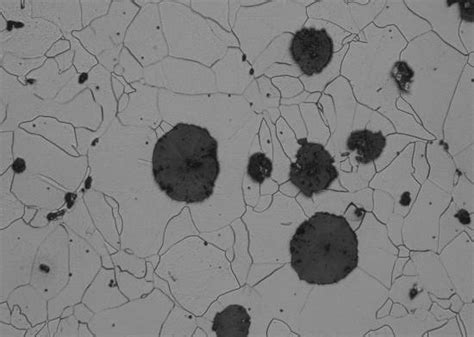 Microstructure of the as-cast ductile iron. | Download Scientific Diagram