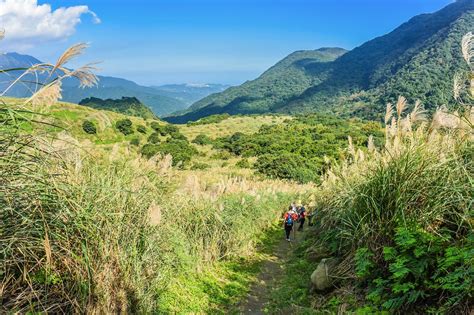 Yangmingshan National Park Guide | Edison Tours