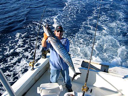 Expert Advice on Wahoo Rigs - Florida Sportsman