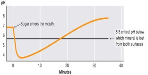 Factors in the Dental Caries Process - Food for Thought: The Relationship Between Oral Health ...