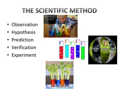 Development of scientific temper – our fundamental right