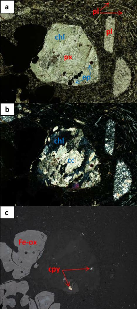 Altered augite porphyry basalt in a) Plane polarized light displays a ...