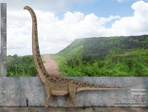 Mamenchisaurus Sinocanadorum by SameerPrehistorica | Prehistoric animals, Prehistoric creatures ...