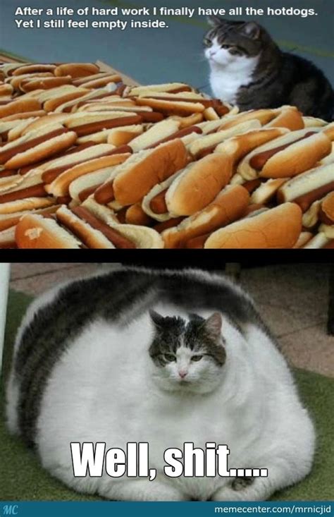 Funny Hot Dog Meme - Funny PNG