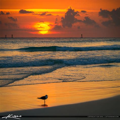 Sunrise Miami Beach Florida | Royal Stock Photo