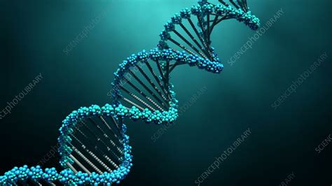 DNA strand, animation - Stock Video Clip - K009/1403 - Science Photo ...