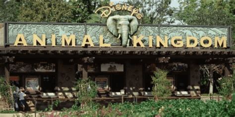 What's Going on at Animal Kingdom? Disney World Continues Canceling New ...