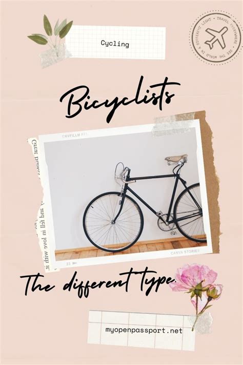 3 Different Bicyclist Types - My Open Passport English Language School