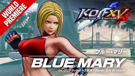 Blue mary king of fighters - cowluda