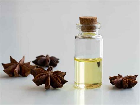 Uses and 12 Benefits of Aniseed Oil and Its Caution - AARIZ BD