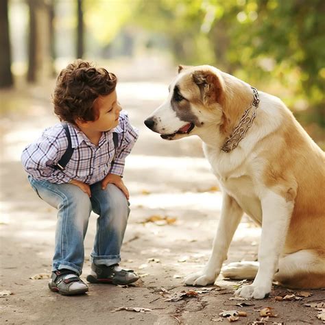 First Pets For Kids | POPSUGAR Moms