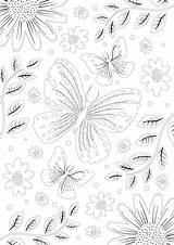 coloring With clipper  Clipper Teas sketch template