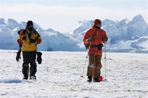 Walking to the penguin colony - Antarctic Logistics & Expeditions