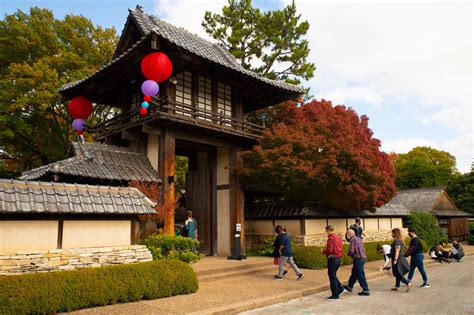 Japanese Garden Fall Festival - DFWChild