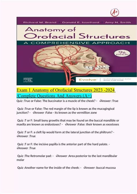 Exam 1 Anatomy of Orofacial Structures - Stuvia US