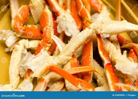 Giant crab Claw stock image. Image of asia, hokkaido - 43890081