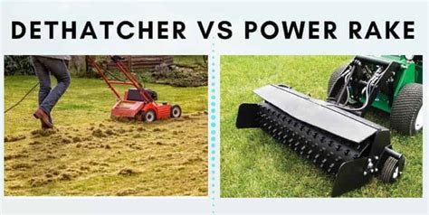 Power Rake vs Dethatcher: Differences + How They Work | CrabgrassLawn