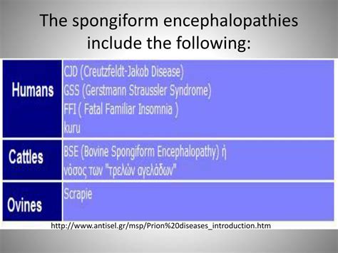 PPT - Spongiform Encephalopathies ( TSEs) PowerPoint Presentation, free ...