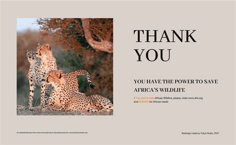 African Wildlife Foundation- website redesign on Behance