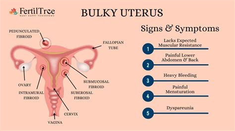 Swollen Uterus