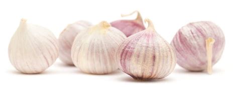 Single clove garlic stock photo. Image of isolated, flavouring - 35636982